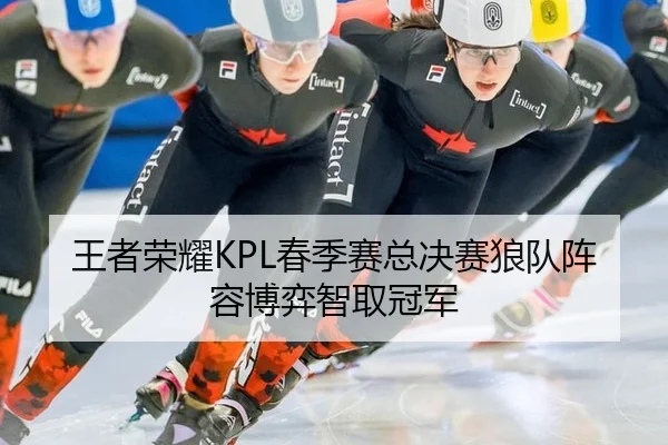 王者荣耀KPL春季赛总决赛狼队阵容博弈智取冠军