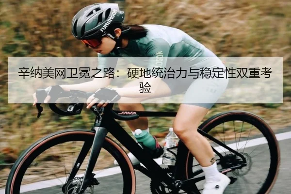 xin-na-mei-wang-wei-mian-zhi-lu-ying-di-tong-zhi-li-yu-wen-ding-xing-shuang-chong-kao-yan-2-169.jpg